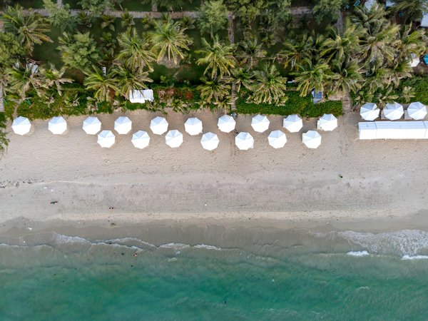 Unlock scotland's top music and dance adventures: the ultimate guide to immersive experiences